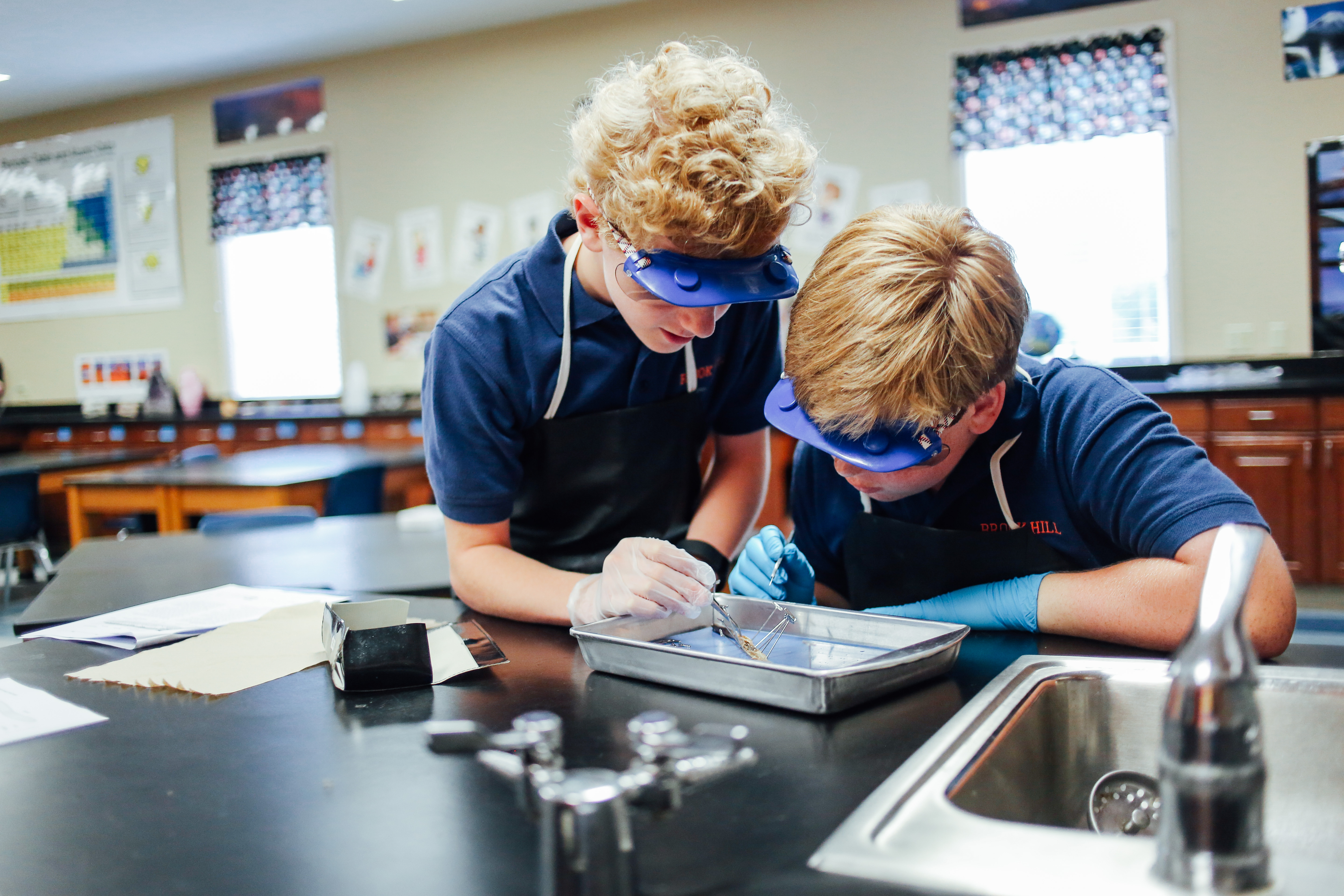 7th Grade Worm & Frog Dissections | Brook Hill School | Tyler, TX