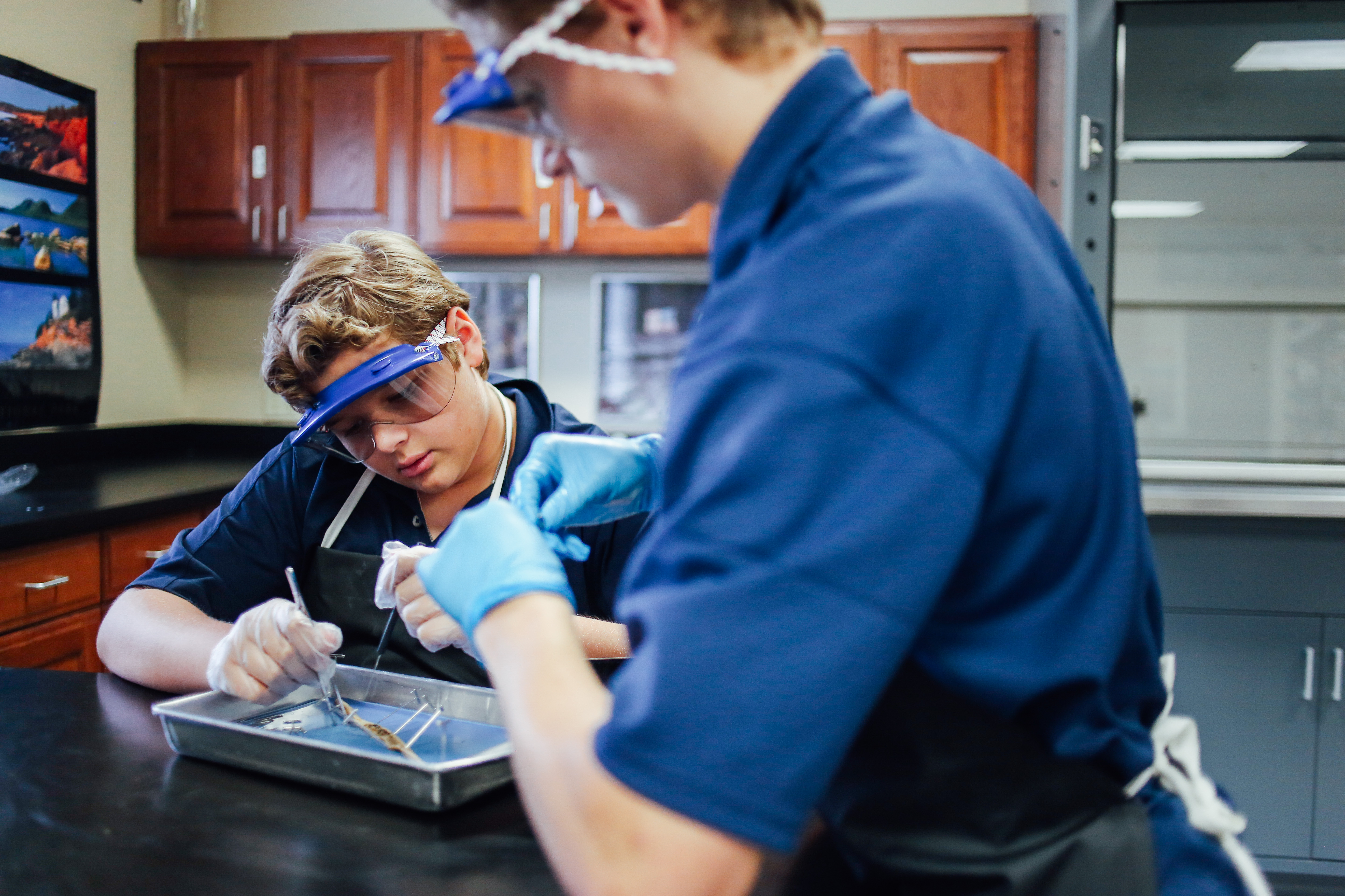 7th Grade Worm Frog Dissections The Brook Hill School   Worm Dissectionta 14 