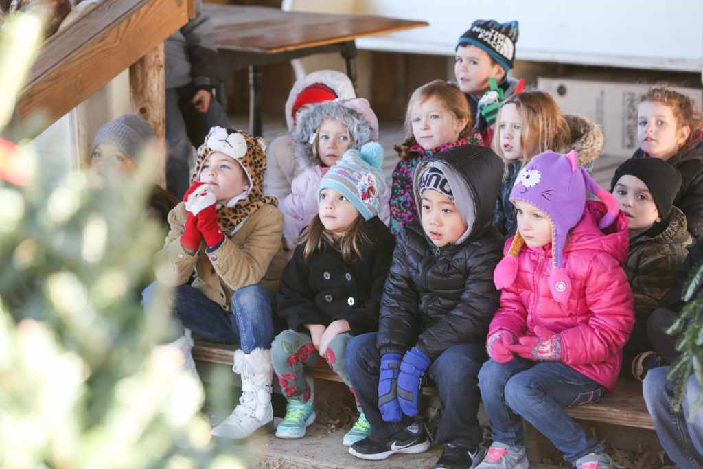 Kindergarten takes a field trip to Plantation Pines - The Brook Hill School